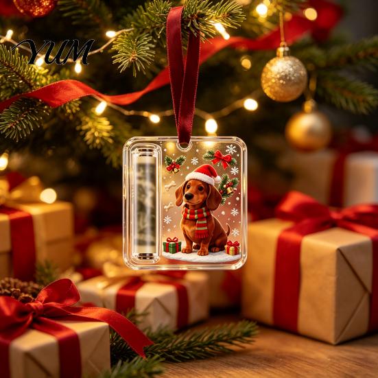 Christmas Hanging Ornament Money Holder Ornaments for Cash, Clear Acrylic Xmas Tree Cash Decoration Gift Decorations Holiday Party Favors, Stocking