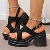 Fashion Women's Gothic Chunky Heels Sandals Summer 2025 Fashion Buckle Strap Platform Sandals Woman Thick Bottom High Heels Roman Shoes