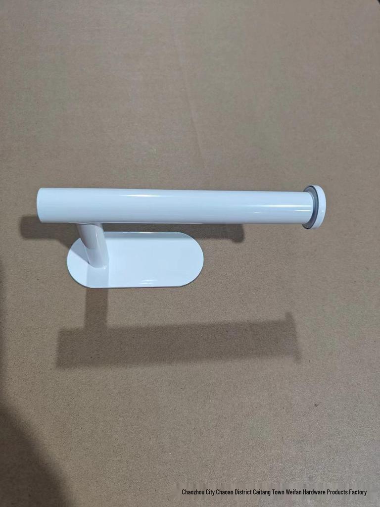 Stainless Steel Punch-Free Paper Towel & Toilet Roll Holder for Kitchen and Bathroom