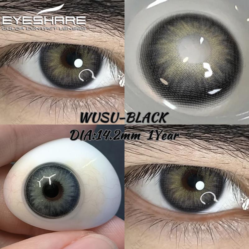 Eyeshare 2pcs Natural Colored Contact Lens for Eyes Gray Colored Lens Eyes Beautiful Pupil Yearly Makeup Green Eye Contacts Lens