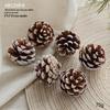 Natural Pine Cones, Logs, and Dried Fruits - Christmas Atmosphere Decoration Supplies