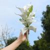 Handheld Bridal Bouquet Elegant Wedding Hold Flower Calla Flower Bouquet  Home Decor