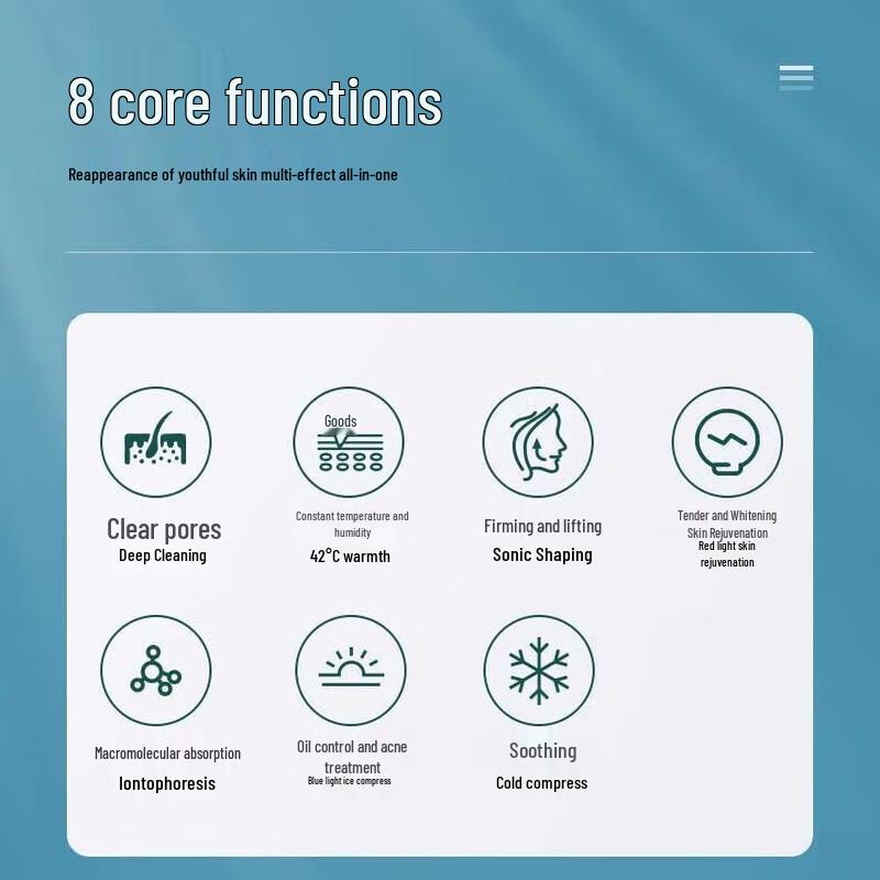 Audingkang Hot & Cold Photon Facial Massager