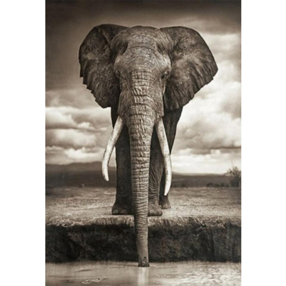 5D DIY алмазная живопись животное слон горный хрусталь картина полная алмазная вышивка мозаика ручной работы подарок украшение мебели
