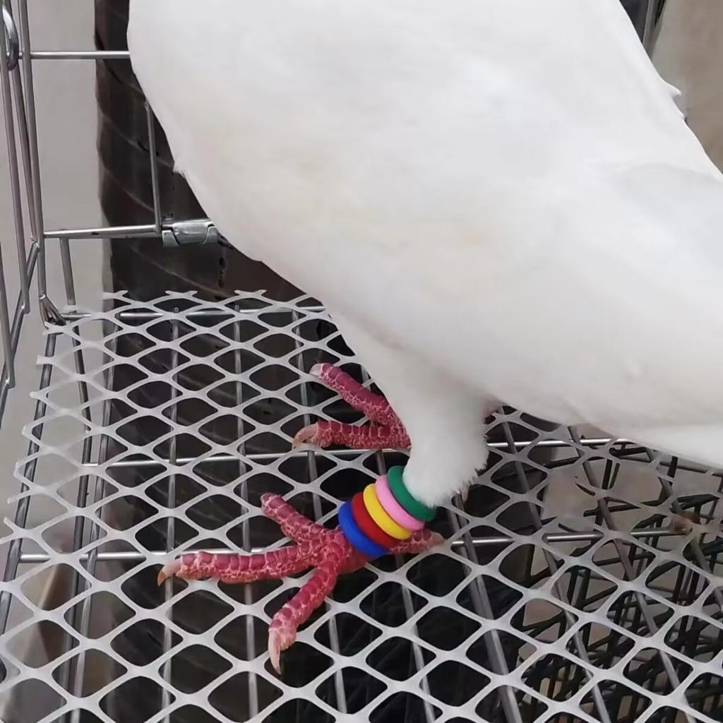 100 шт. разноцветных тренировочных повязок для ног голубей для легкой идентификации и управления в гоночных мероприятиях