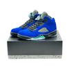 136027-500 Nike Air 5 Retro Alternate Grape Фиолетовый Зеленый
