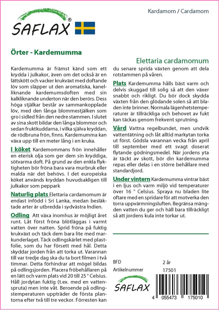 SAFLAX Garden in the Bag - Кардамон - 20 семян - С субстратом в подходящем пакете - Elettaria cardamomum