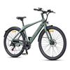 Engwe MapFour N1 Air ST Carbon Fiber City e-Bike 250W Step-Through Electric Bike for Women With Torque Sensor 36V 10Ah Battery