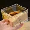 Transparency Rigid Plastic PS Material Mousse Cake Box Tiramisu Container Sushi Dessert Food Storage  Cookies Candy  Packing Box
