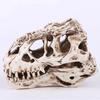 Dinosaur Skull for Home Office Aquarium Decor Dinosaur Head Skeleton Skull Model Lifelike Teaching Skull Statues