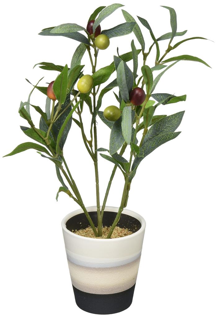 KI Japan RMT Pot, Olive, H19 x W16 x D35cm, 165583