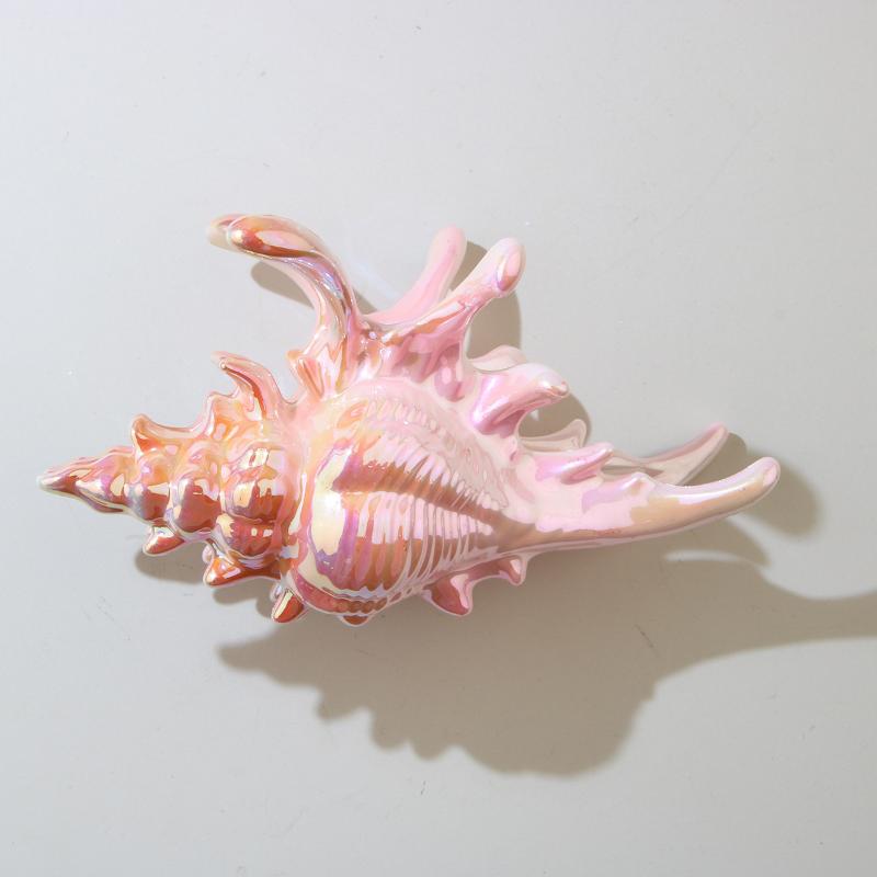 1 шт. Зажим-акула, заколка для волос в виде раскрашенной раковины, красочный аксессуар, обязательный для летних пляжных причесок