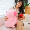Watermelon kapibara capybara Internet celebrity doll plush toy ugly cute capybara doll