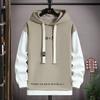 Spring New Hooded Sweatshirt Boy 13-year-old Junior High School Student Base Shirt Teenager Vacation Two-piece Jacket