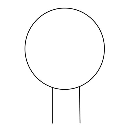 Plant Circle Trellis Climbing Plants Coated Wire Trellis Planter Insert Heart