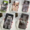 British Shorthair Cat Case For Huawei Nova 10 9 SE 11 Pro 11i 8i 7i 3i Y60 Y61 Y70 Y90 Y91 P20 P40 P30 Lite Cover