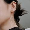 Серьги «Тыква с чешуей дракона» и колотый лед: Потрясающие серьги-гвоздики Фу Лу для женщин, Универсальные высококачественные ювелирные аксессуары.