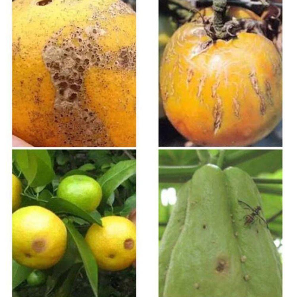 Reusable Fruit Fly Trap Antimosquito Insect Fly Catcher Garden Orchard Pest Control Tool