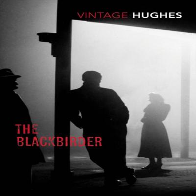 Черный пират (The Blackbirder) Дороти Б. Хьюз Мягкая обложка 9781784870492