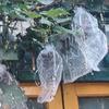 100pcs Breathable Grapes Fruit Grow Bags Mesh Grape Protection Cover For Pest Control Anti-Bird