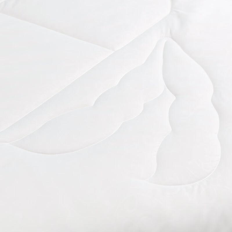 Soy Fiber Anti-mite Antibacterial Quilt