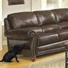 Protective Foil Anti-Scratching Cover For Sofas, Armchairs, Cat Scratching Post Xl