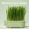 Elephant Cat Grass Cup Hydroponic Cat Grass Box Soilless Planting Easy To Grow Easy Operate Cat Grass Pot Set Pet Supplies