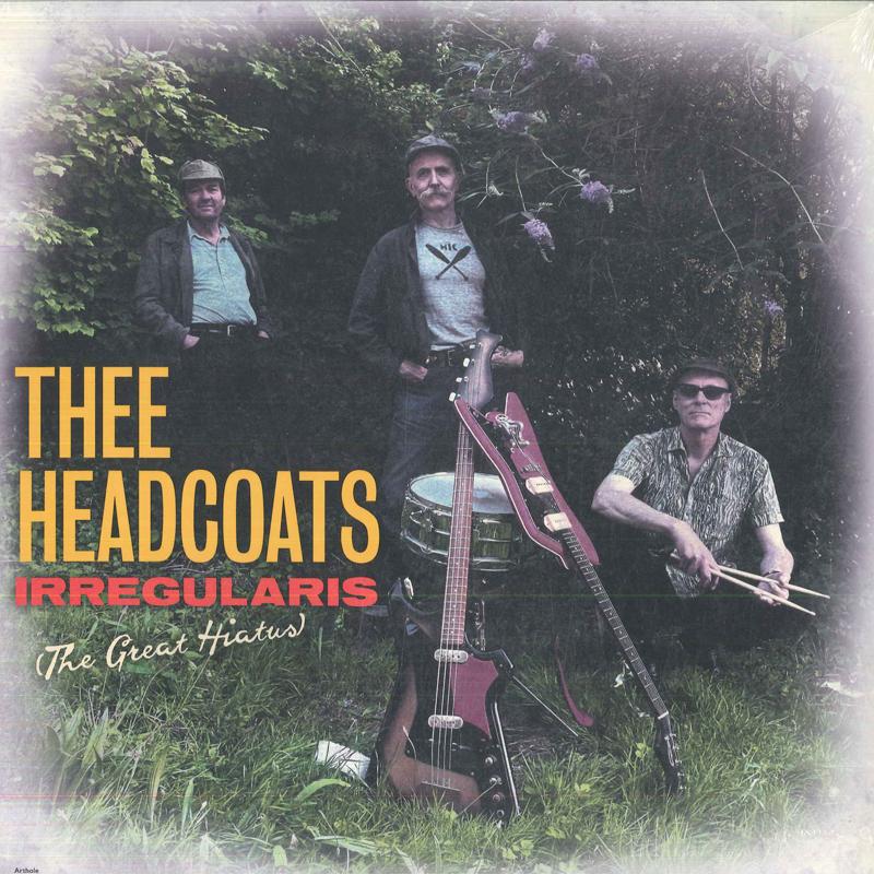 LP Пластинка THEE HEADCOATS - Irregularis (Великий перерыв) DAMGOOD587LP Поврежденные товары 2023 UK Рок