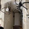 Cross-border explosions Halloween decoration spider web gauze stretch cloth spider web gauze atmosphere layout rags Secret Room White