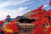 Epochsha 1000 Piece Jigsaw Puzzle Puzzle Master Kiyomizu Temple In Deep Autumn Kyoto Aim! - (50x75cm)