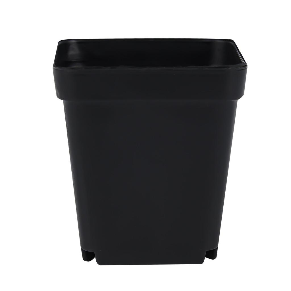 Colorful Mini Black Square Plastic Flower Pots for Succulents