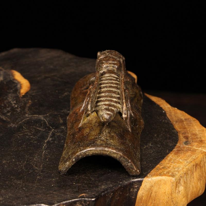 Metal Brass Insect Cicada Figurine Desktop Ornament Study Table Decoration Craft Accessories Small Animal Statue