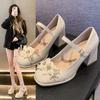 Fairy Wind Mary Jane Women's Shoes with Skirt 2025 Wedding Shoes Bridesmaid Shoes Waterproof Table Small Thick Heel High Heel Single Shoes