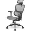 Chaise De Bureau - OfficePal - C30M - Ergonomique - Accoudoirs 3D - Dossier Réglable