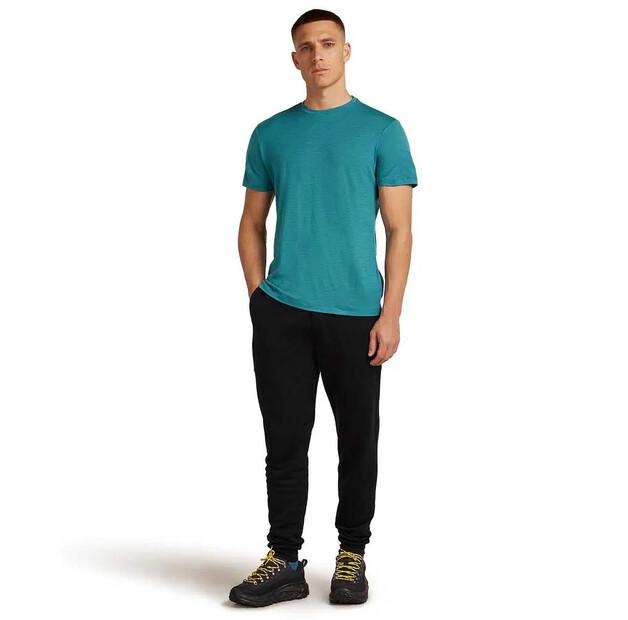 Icebreaker Джоггеры Merino Blend 300 RealFleece™ Descender