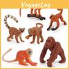 Simulated Animal Monkey Model Toy For Educational Use Figurines Collectible