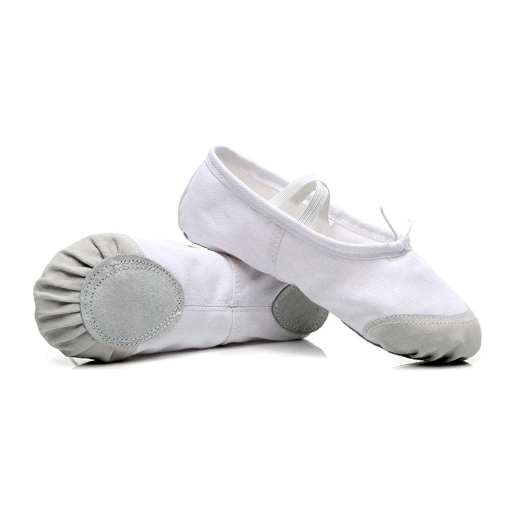 5 colors Ballet Dance Shoes Soft Sole Adult Dance Slippers Ballerina Shoes  for Women