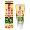 Hikishime Fresh Leaves Medicated Toothpaste To Prevent Pyorrhea Herbal Mint Flavor 100g X 24 Pieces