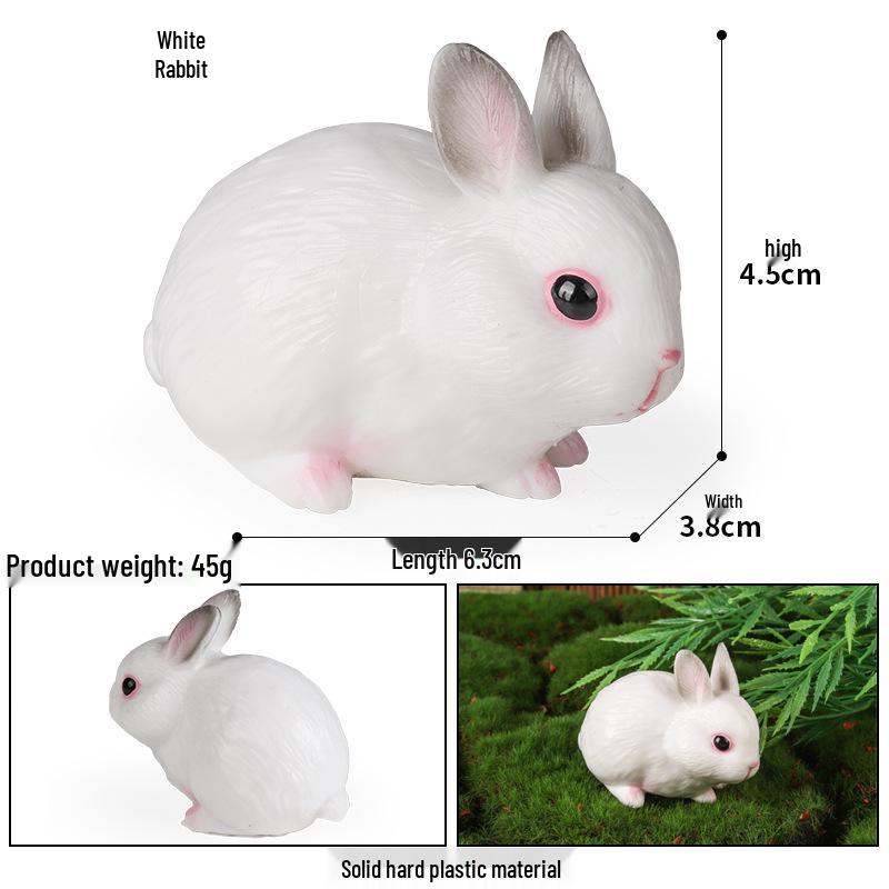 Cute Animal Models: Japanese Raccoon, Flying Squirrel, Monkey, Rabbit, Squirrel, Shiba Inu, Tiger, Lion, Lizard Toy Set