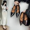 Fashion Korean Block Heel Mary Jane Retro Single Shoes Women's 2025 New Autumn Pointed Toe Shallow Mouth Vintage Strap High Heels