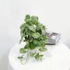 1 шт. Имитация виноградных растений, листья яблони, зеленые растения для гостиной, украшения для витрины