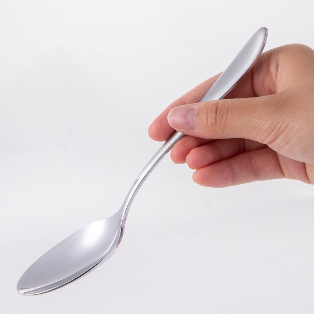 Nagao Tsubamesanjo Dinner Spoon Set of 12 Stainless Steel Made In Japan 18-0