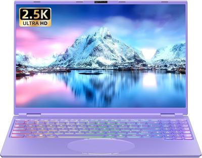 Ноутбук для офиса Процессор Intel Celeron N95 IPS ЖК-дисплей Разрешение 16 ГБ памяти DDR4 Распознавание лица Полностью функциональный ноутбук, не требующий настройки 16 ГБ 256 ГБ