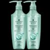 Schwarzkopf Oil Control & Revitalizing Anti-Dandruff Shampoo