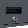 Wall Mounted Garage Cabinet with Gas Spring Door Anthracite
