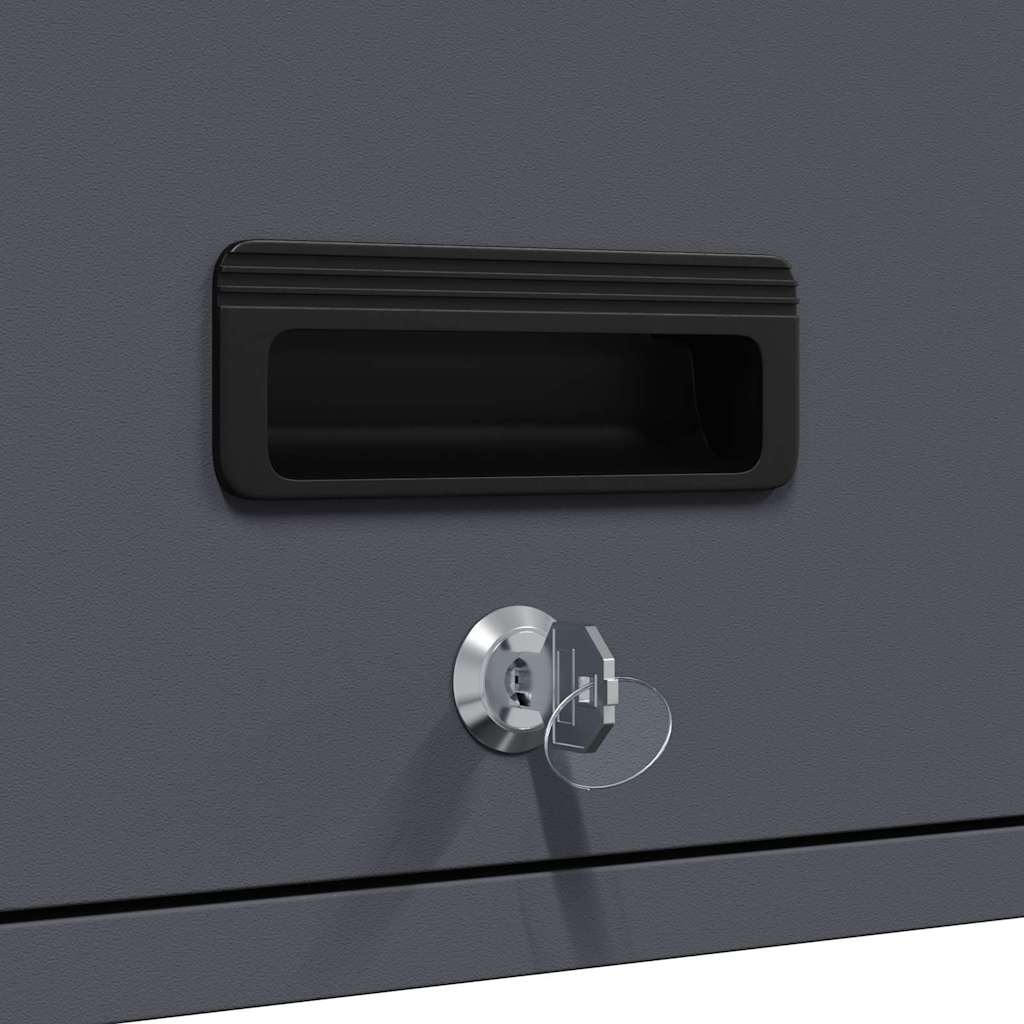 Wall Mounted Garage Cabinet with Gas Spring Door Anthracite
