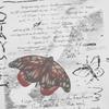 Mens Loose Fit Streetwear Hoodie Butterfly Print Crewneck Sweatshirt Casual Wear