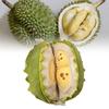 Removable Plush Durian Toy Dolls Soft Room Decoration Ornament Gifts Children