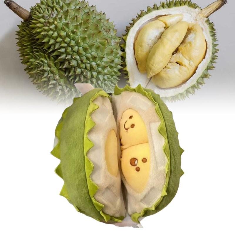 Removable Plush Durian Toy Dolls Soft Room Decoration Ornament Gifts Children