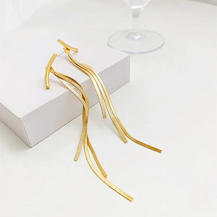 S925 Silver Needle Temperament Long Metal Tassel Earrings Cold Wind Snake Chain Removable As Stud Single Wear